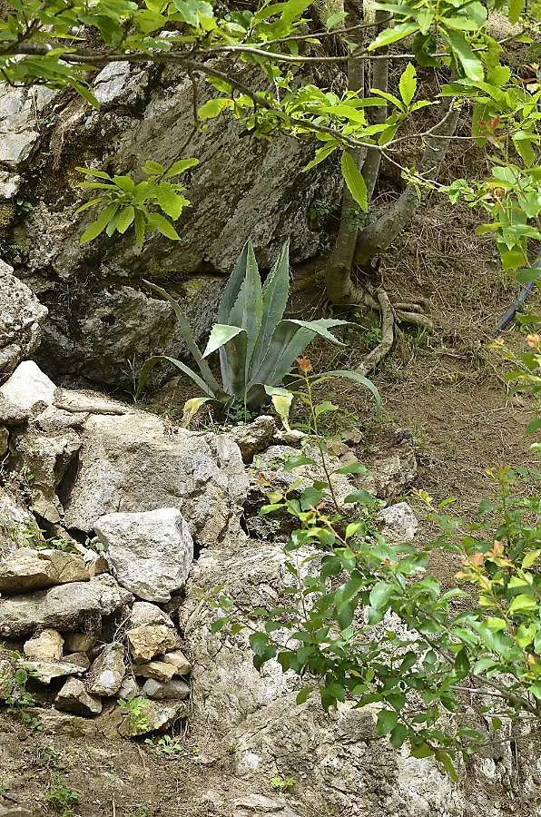 Agriturismo Cornali Fabbriche di Vallico